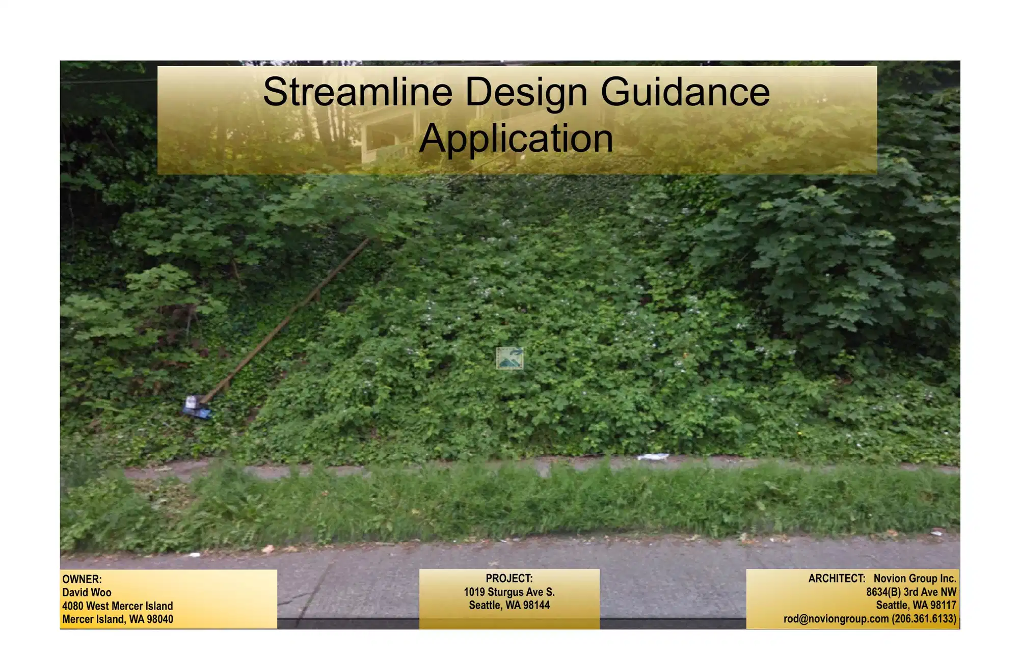 Design review proposal for 1019 Sturgus Ave S