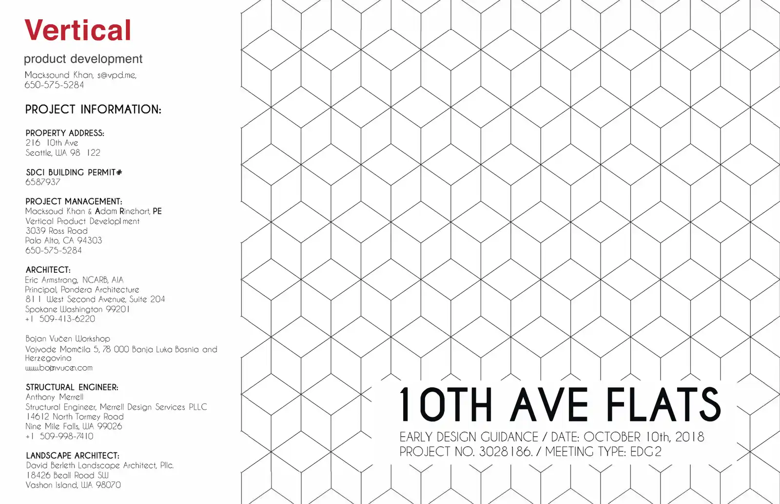 Design review proposal for 216 10th Ave